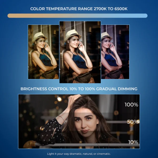DIGITEK LED-D40W BI COLOR LIGHT - Image 2